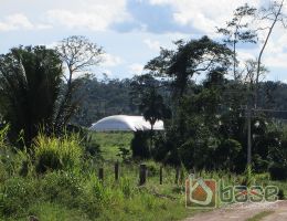 Almacienamiento Forestal