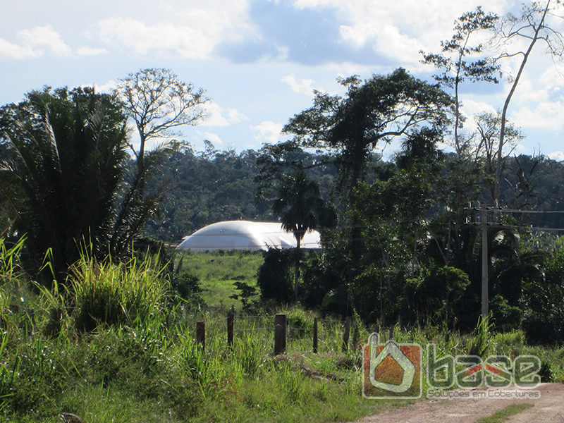armazenamento florestal para img